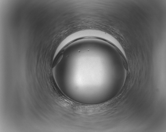 X0000052630033200507081951