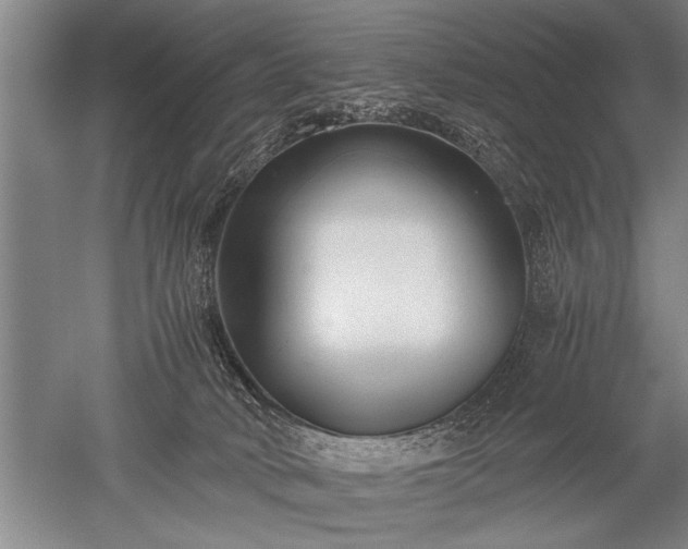X0000052630034200507081951