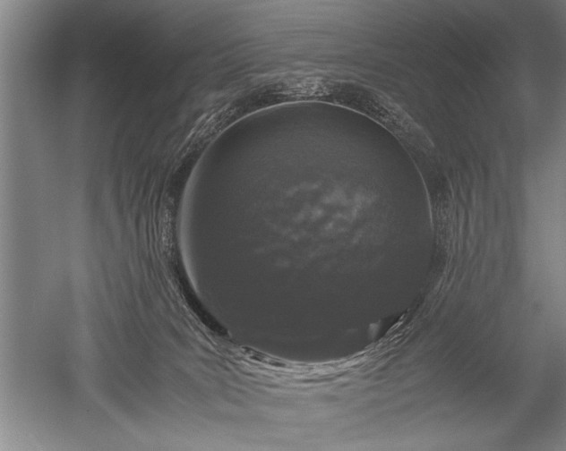 X0000052630035200507081951