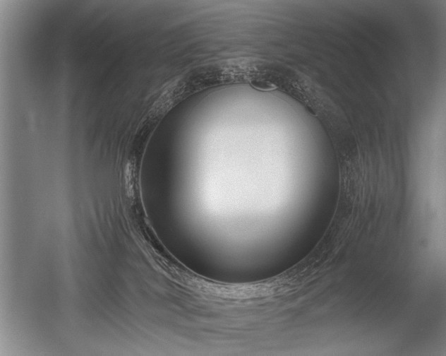 X0000052630038200507081951