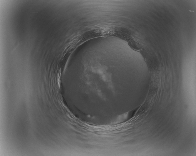 X0000052630039200507081951