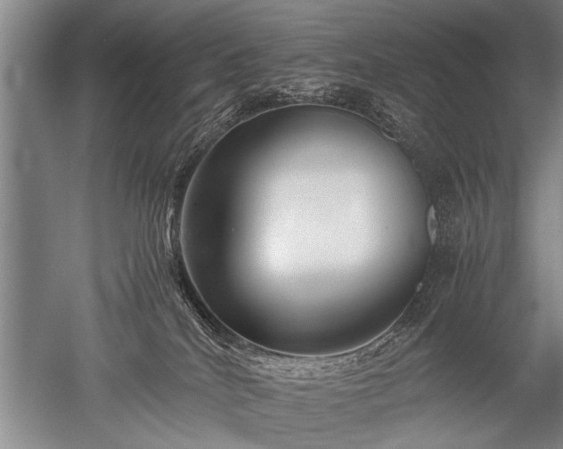 X0000052630040200507081951