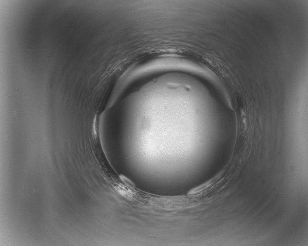 X0000052630041200507081951
