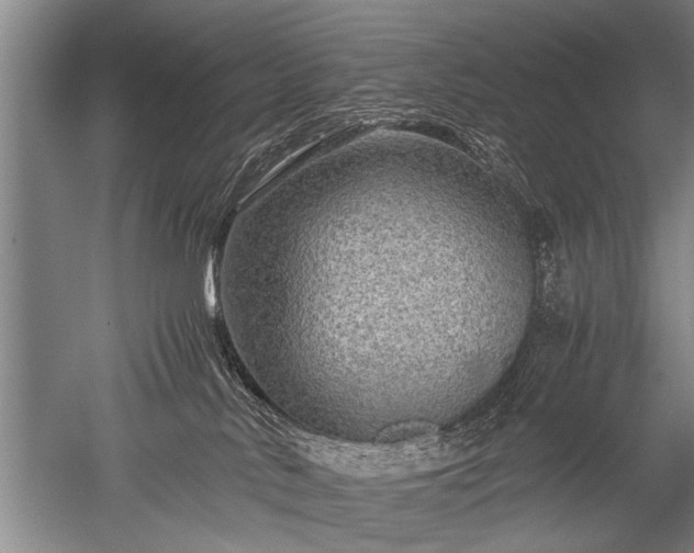 X0000052630042200507081951