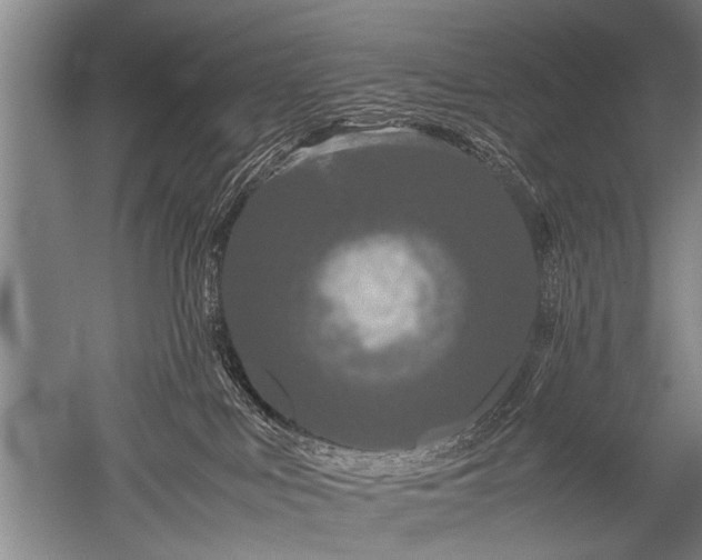 X0000052630043200507081951