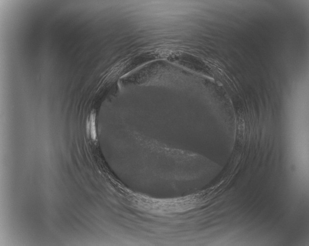 X0000052630046200507081951