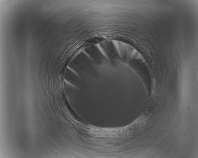 X0000052630048200507081951