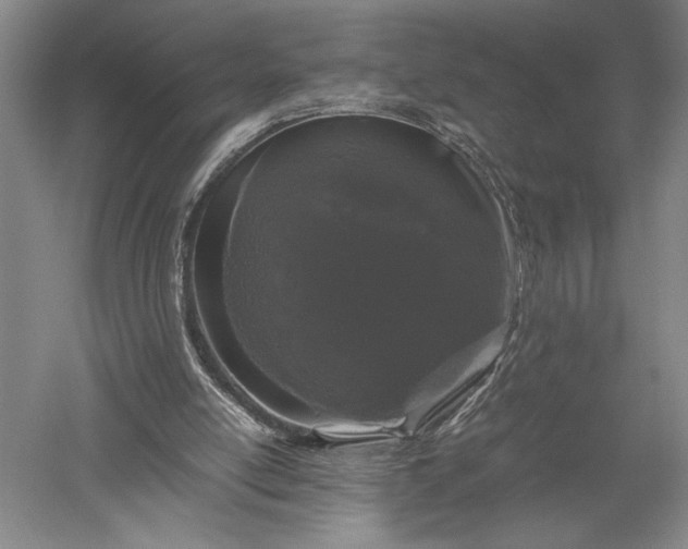 X0000052630054200507081950