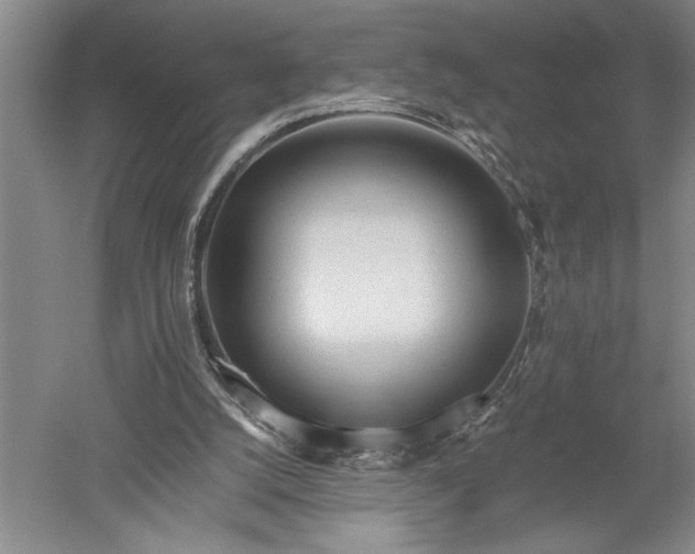 X0000052630056200507081950