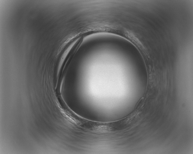 X0000052630058200507081950