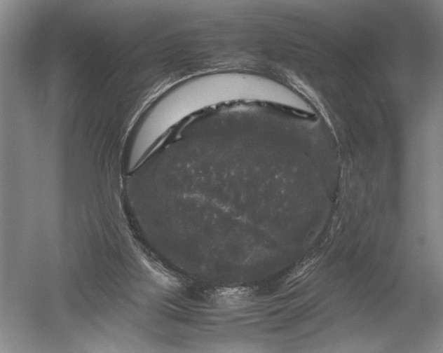 X0000052630059200507081950