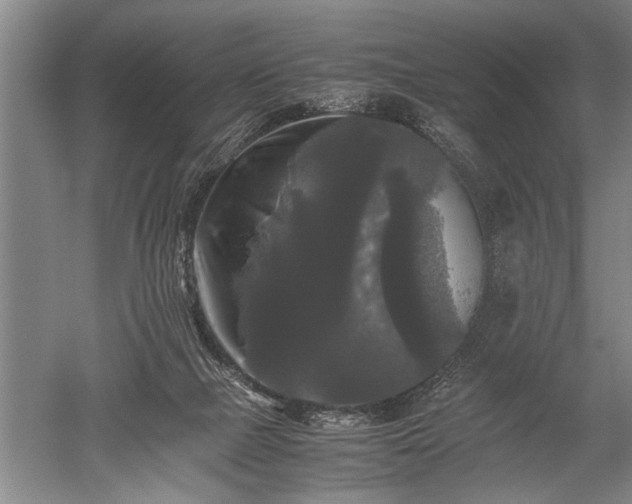 X0000052630073200507081950