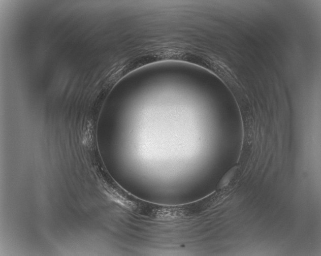 X0000052630077200507081950