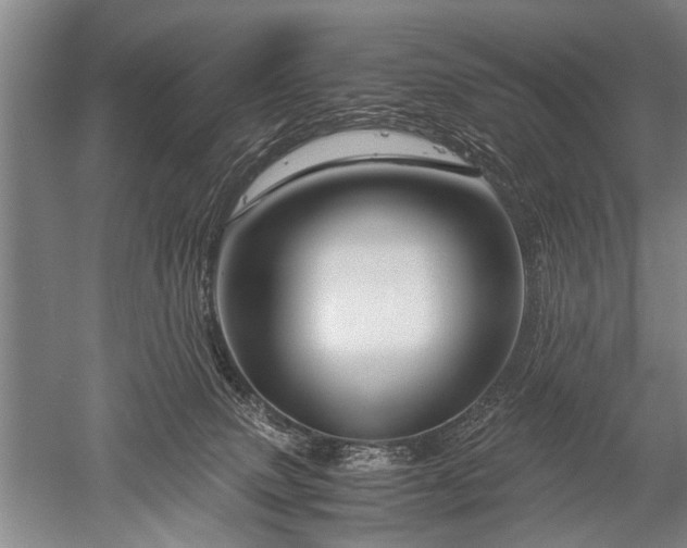 X0000052630083200507081950
