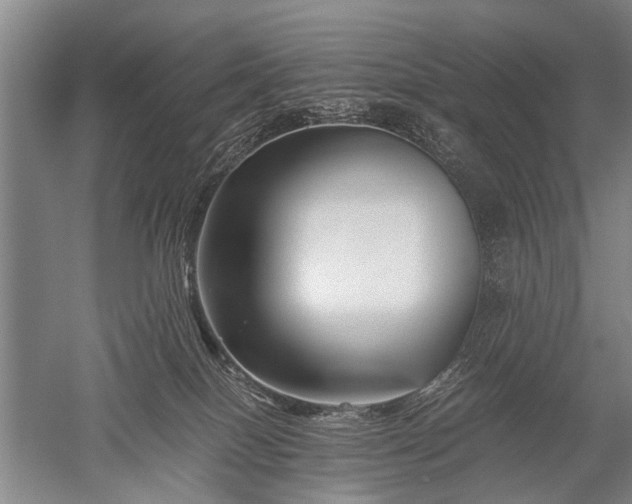 X0000052630086200507081950