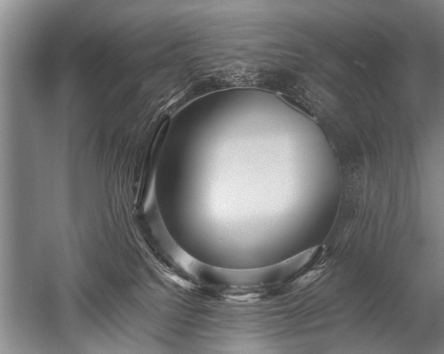 X0000052630088200507081950