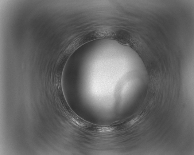 X0000052630091200507081951