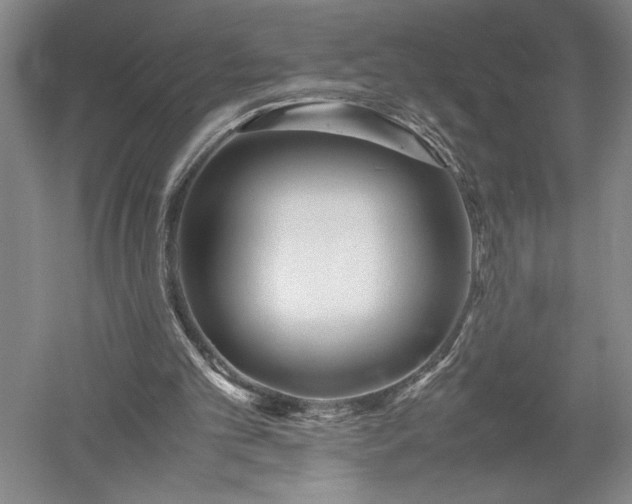 X0000052630101200507081950