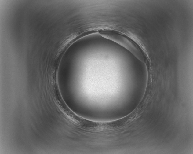 X0000052630105200507081950