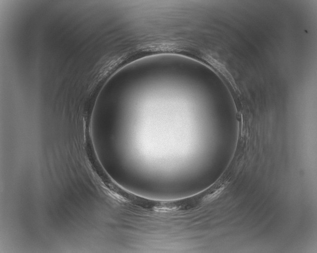 X0000052630109200507081950