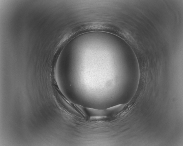 X0000052630111200507081950