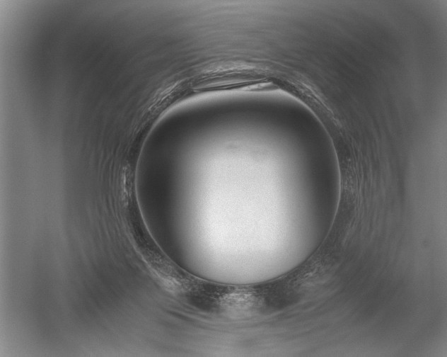 X0000052630119200507081949