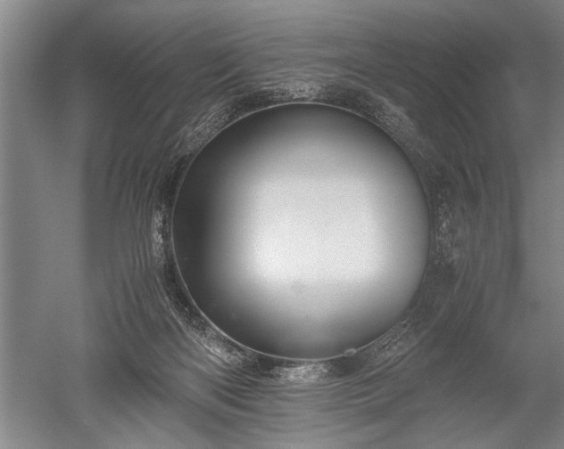 X0000052630122200507081949