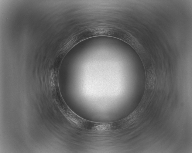 X0000052630126200507081949