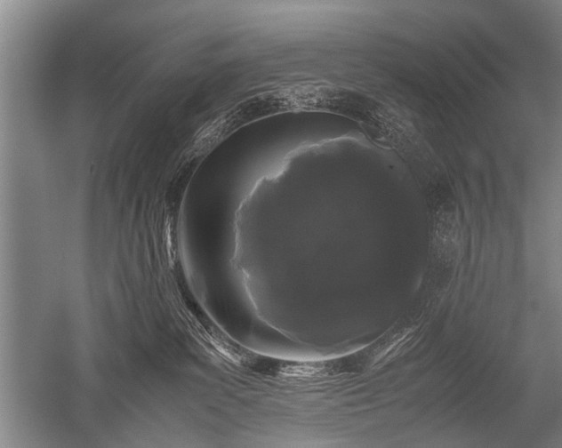 X0000052630139200507081949