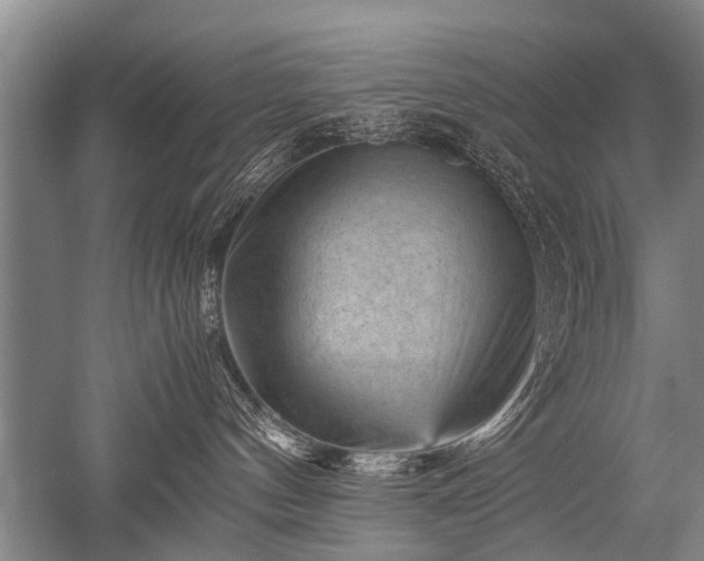 X0000052630144200507081949