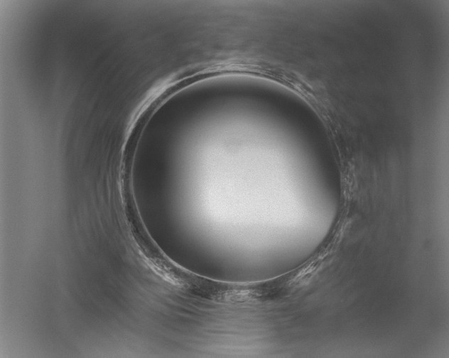 X0000052630152200507081948