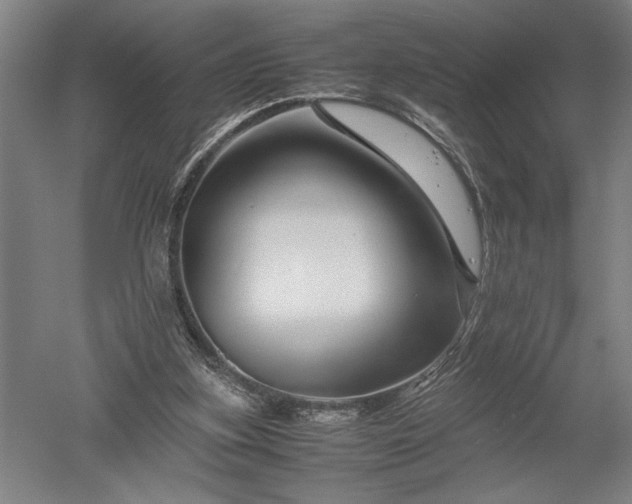 X0000052630155200507081948