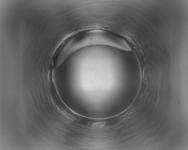 X0000052630156200507081948