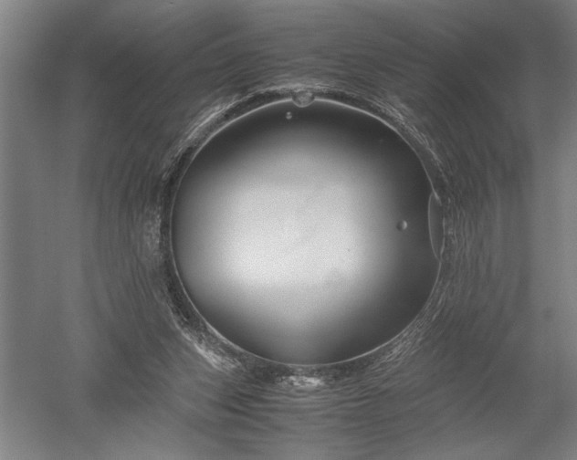 X0000052630159200507081948