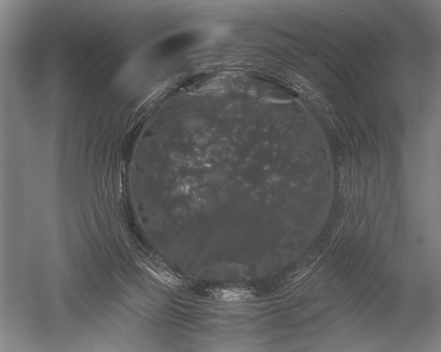 X0000052630165200507081948