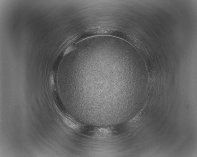 X0000052630166200507081949