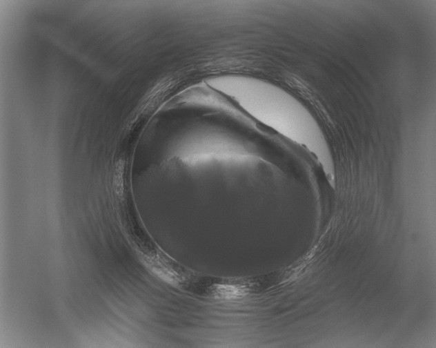 X0000052630167200507081949