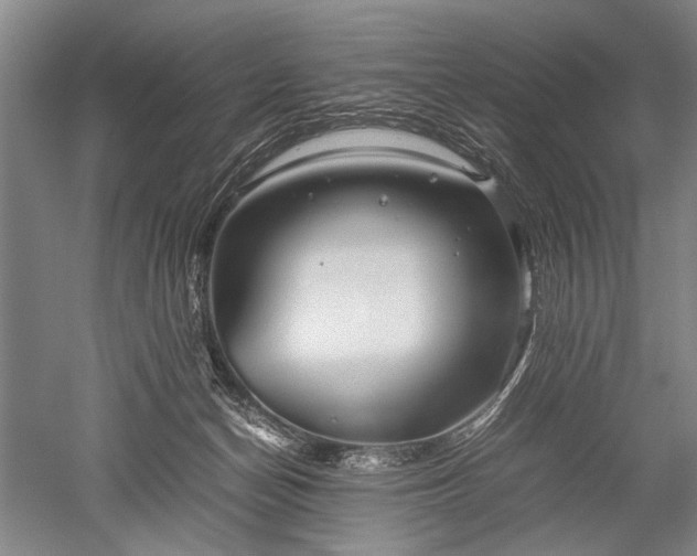 X0000052630174200507081949