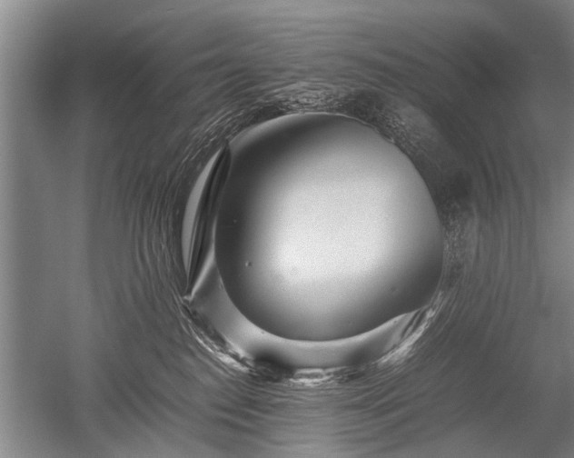 X0000052630186200507081949
