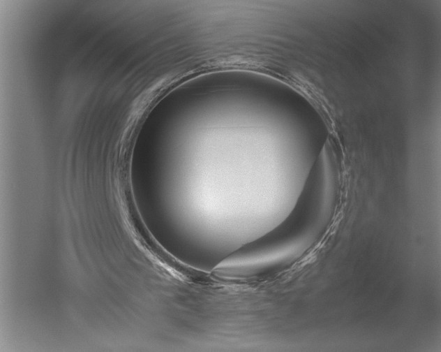X0000052630193200507081948