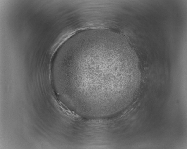 X0000052630194200507081948