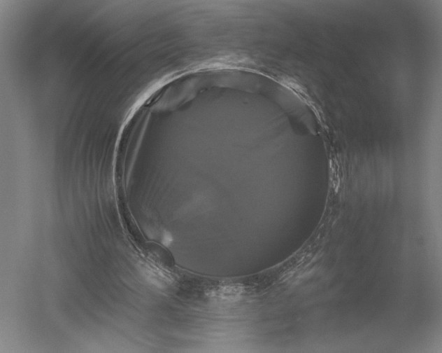 X0000052630196200507081948