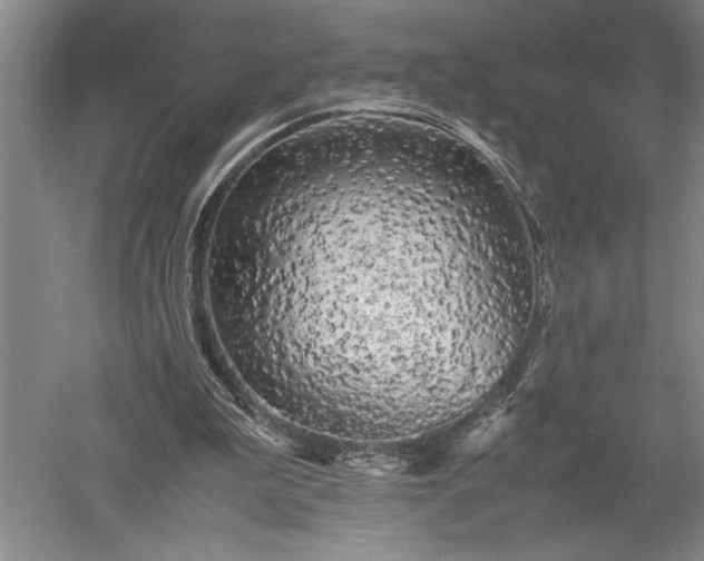 X0000052630199200507081948