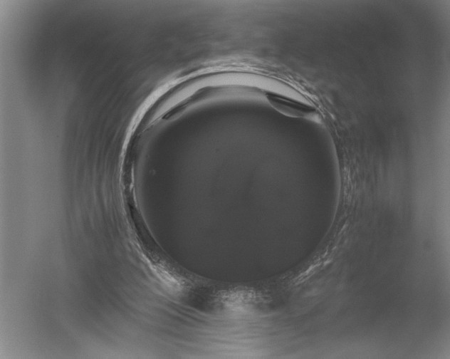 X0000052630200200507081948
