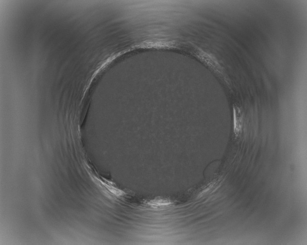 X0000052630204200507081948