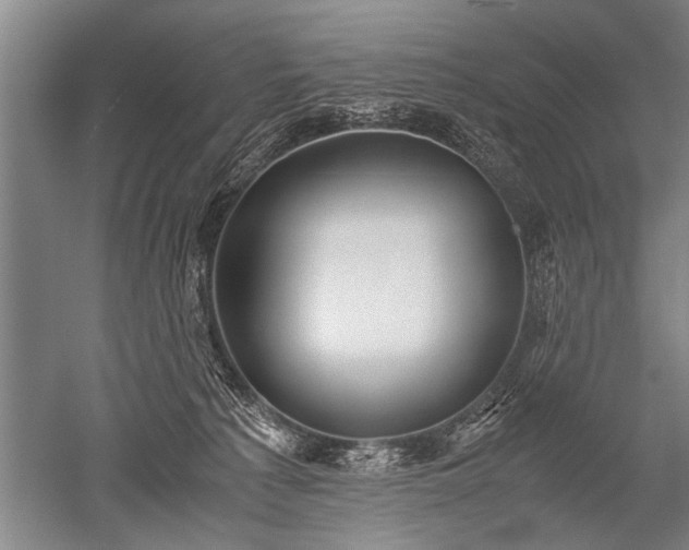 X0000052630225200507081948
