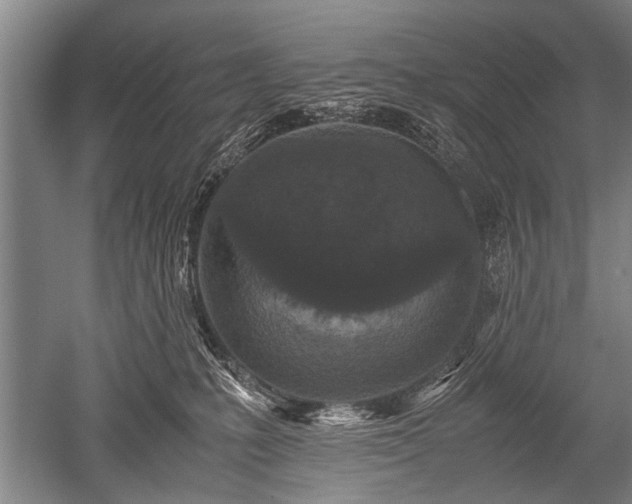 X0000052630231200507081947