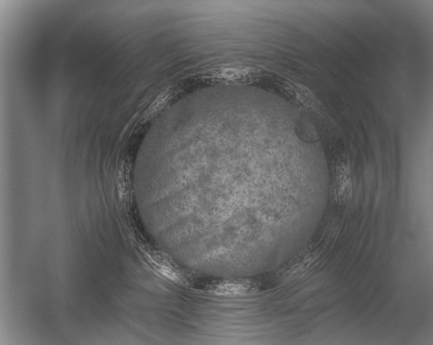 X0000052630236200507081947