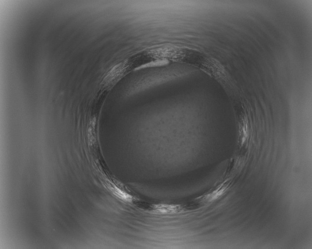 X0000052630239200507081947