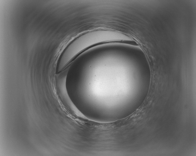 X0000052630241200507081947